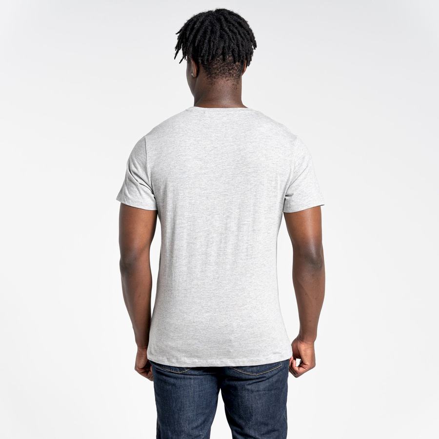 T Shirts Craghoppers Lugo Corta Sleeved Grise Homme | UGE-7578768