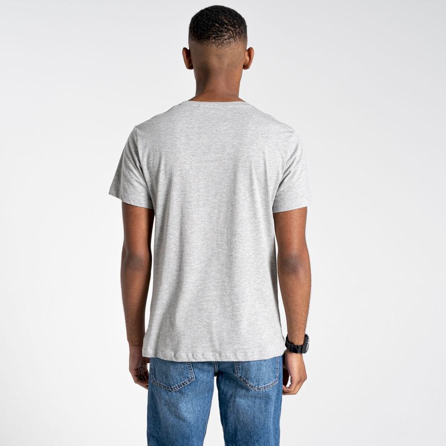 T Shirts Craghoppers Lugo Corta Sleeved Grise Homme | XDO-0056869