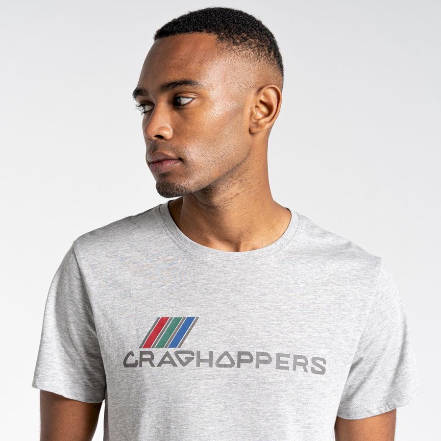 T Shirts Craghoppers Lugo Corta Sleeved Grise Homme | XDO-0056869