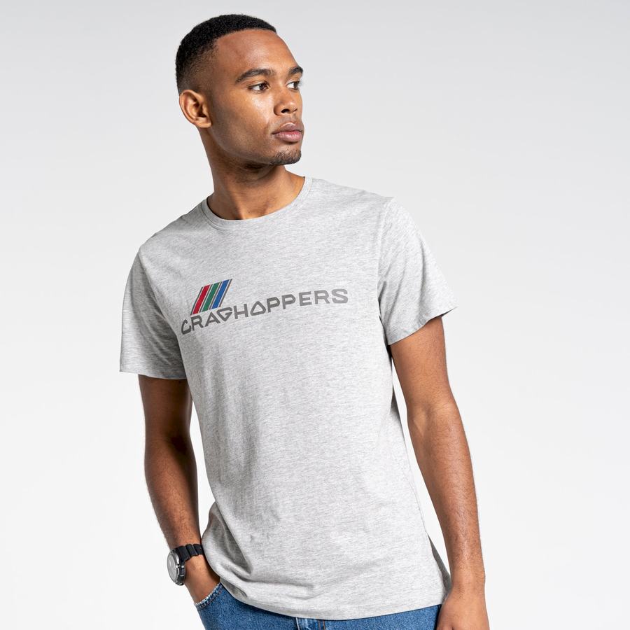 T Shirts Craghoppers Lugo Corta Sleeved Grise Homme | XDO-0056869