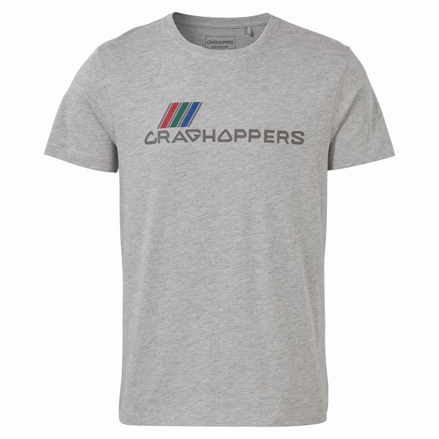 T Shirts Craghoppers Lugo Corta Sleeved Grise Homme | XDO-0056869