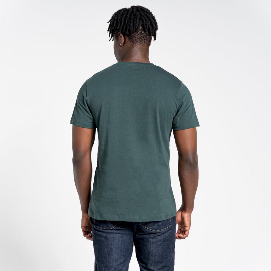 T Shirts Craghoppers Lugo Corta Sleeved Vert Clair Homme | RAI-4656139