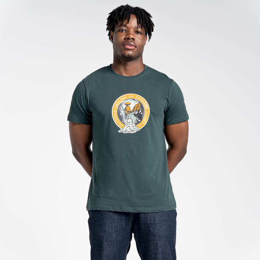 T Shirts Craghoppers Lugo Corta Sleeved Vert Clair Homme | RAI-4656139