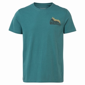 T Shirts Craghoppers Lugo Corta Sleeved Vert Homme | BQY-4754051