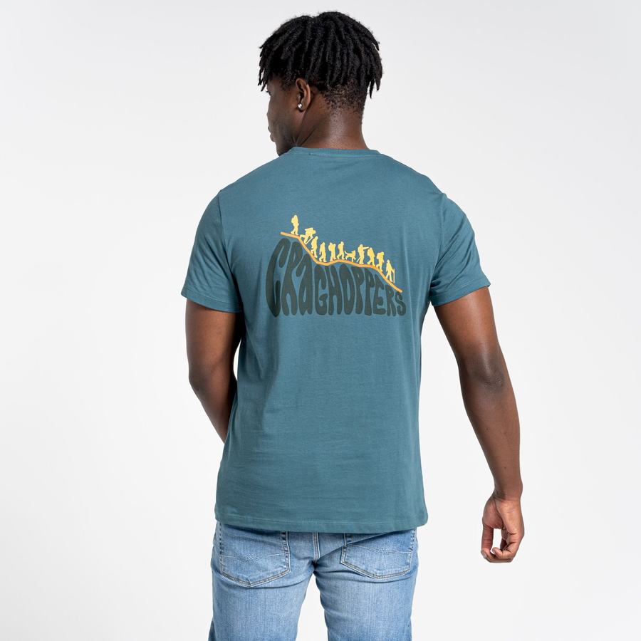 T Shirts Craghoppers Lugo Corta Sleeved Vert Homme | BQY-4754051