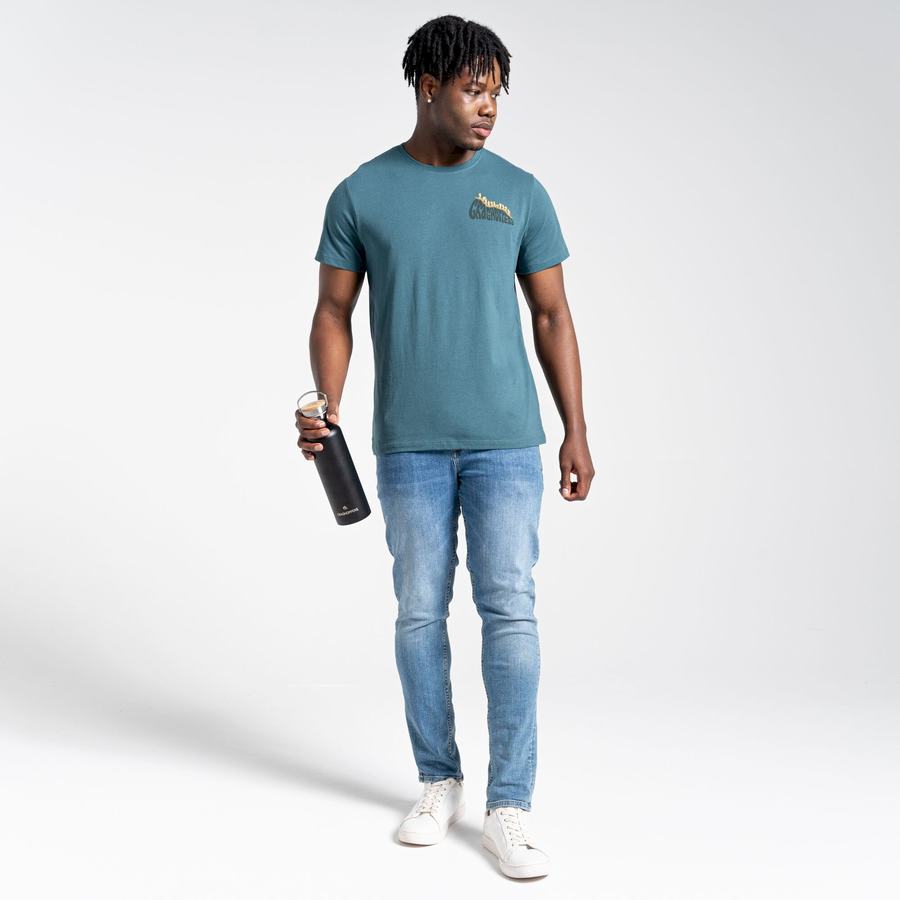 T Shirts Craghoppers Lugo Corta Sleeved Vert Homme | BQY-4754051