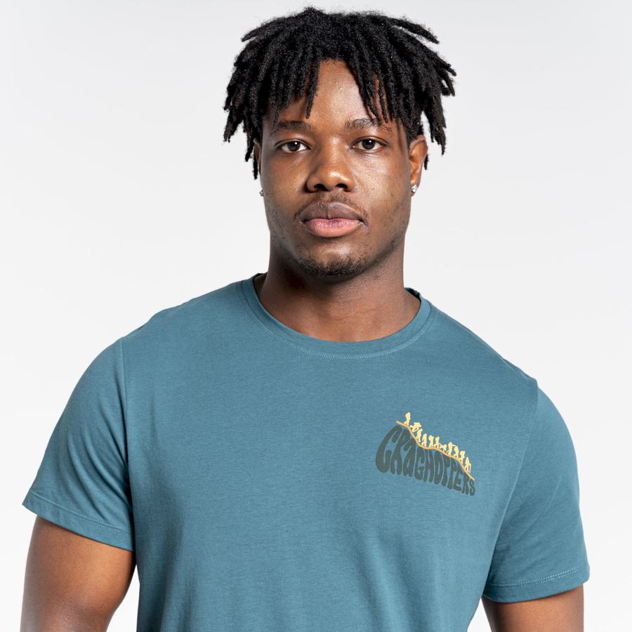 T Shirts Craghoppers Lugo Corta Sleeved Vert Homme | BQY-4754051