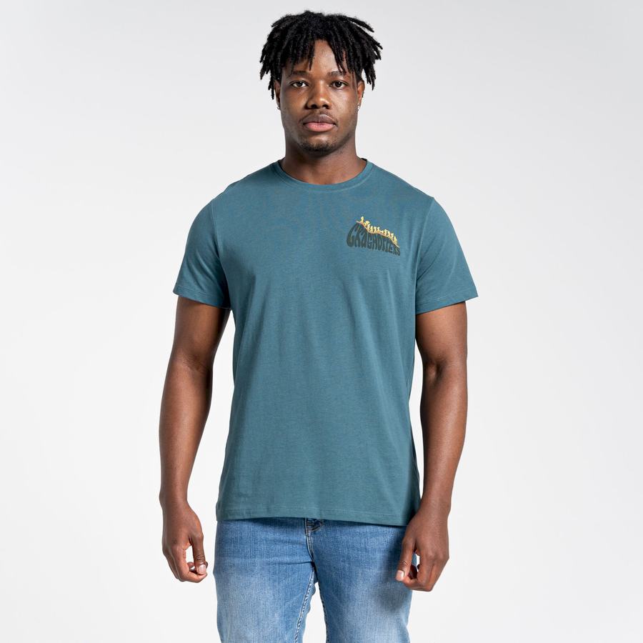 T Shirts Craghoppers Lugo Corta Sleeved Vert Homme | BQY-4754051