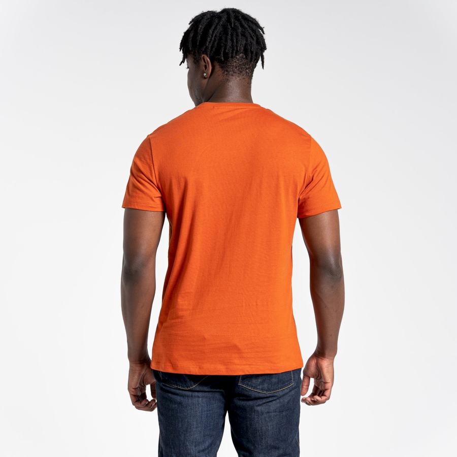 T Shirts Craghoppers Lugo Corta Sleeved Orange Homme | ESE-1967910