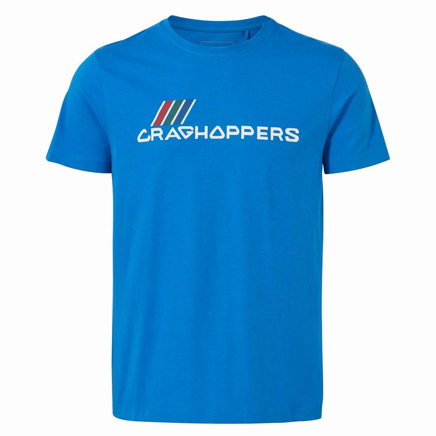 T Shirts Craghoppers Lugo Corta Sleeved Bleu Homme | NRI-4492524