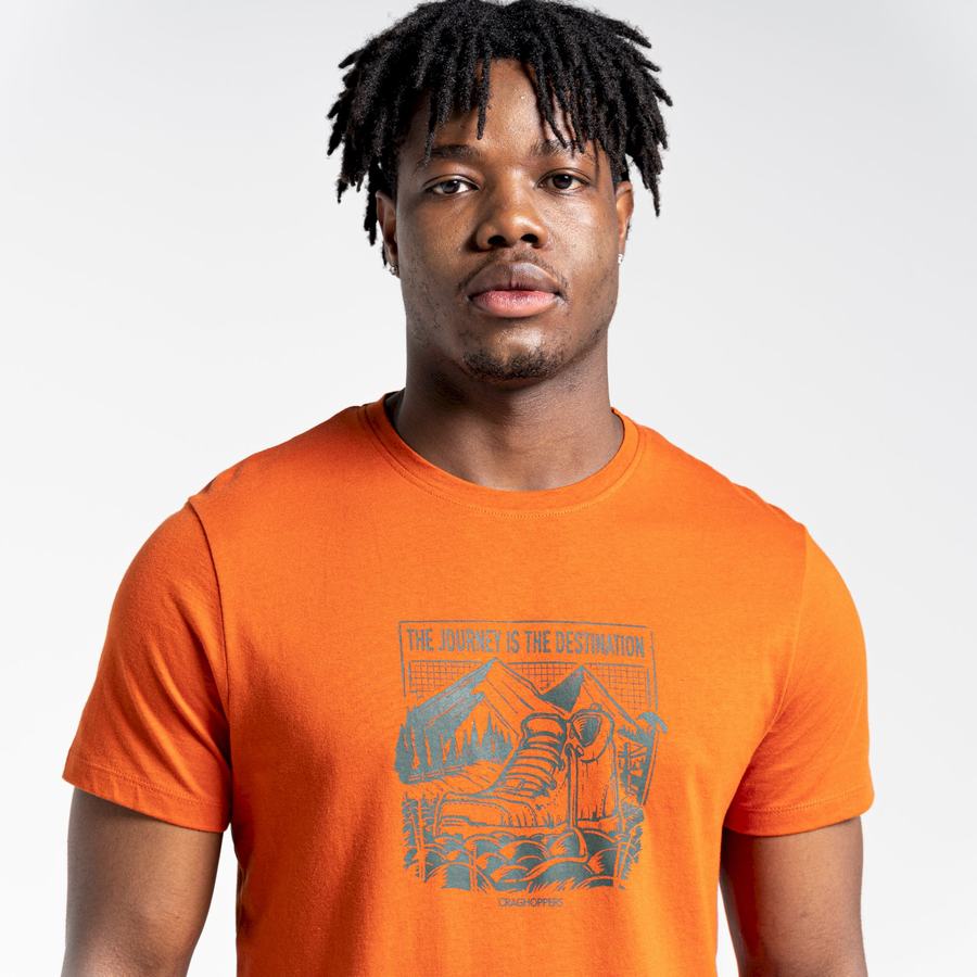 T Shirts Craghoppers Lugo Corta Sleeved Orange Homme | ESE-1967910