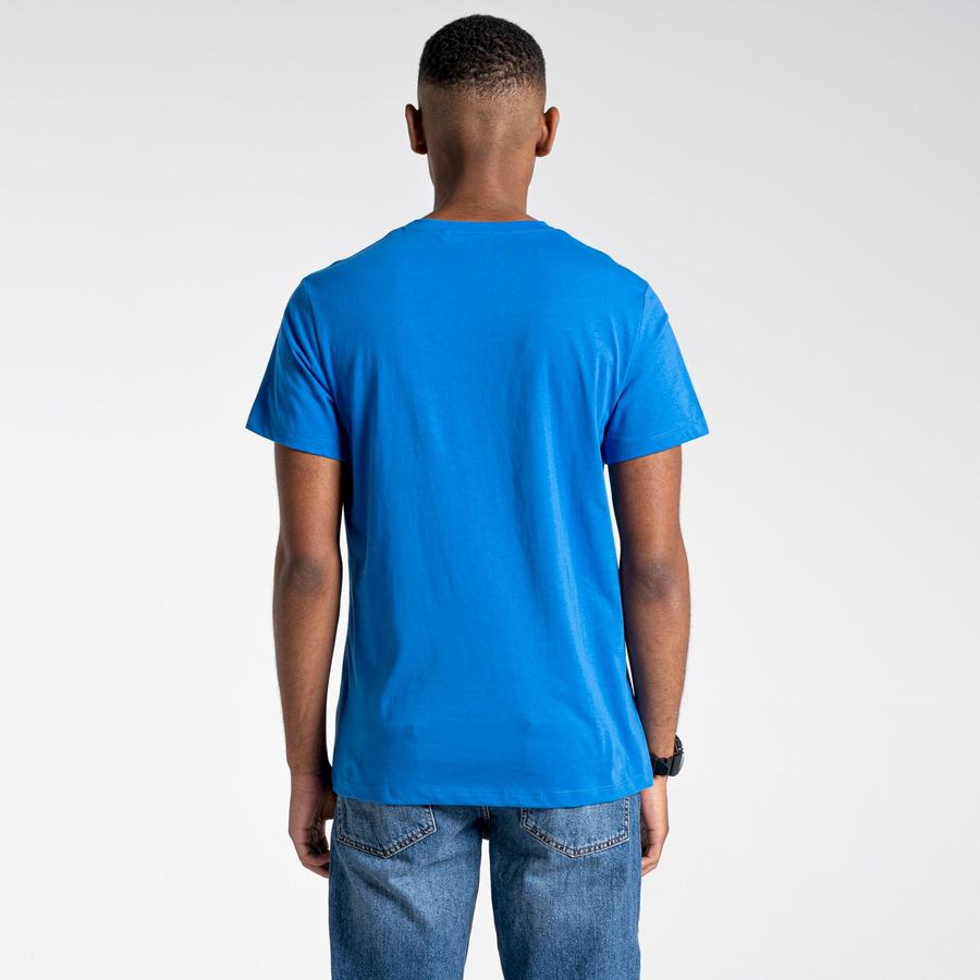 T Shirts Craghoppers Lugo Corta Sleeved Bleu Homme | NRI-4492524