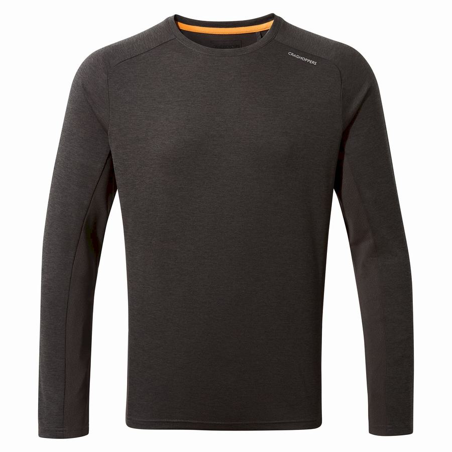 T Shirts Craghoppers Dynamic Pro Long Sleeved Noir Homme | ZHV-4946804