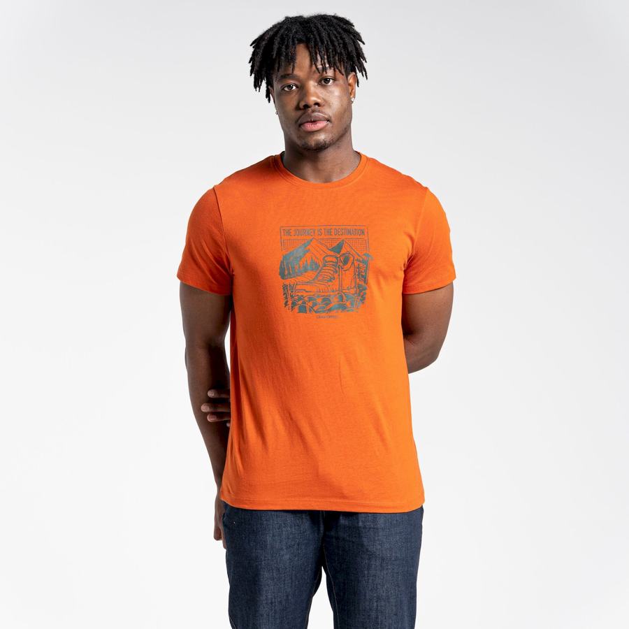 T Shirts Craghoppers Lugo Corta Sleeved Orange Homme | ESE-1967910