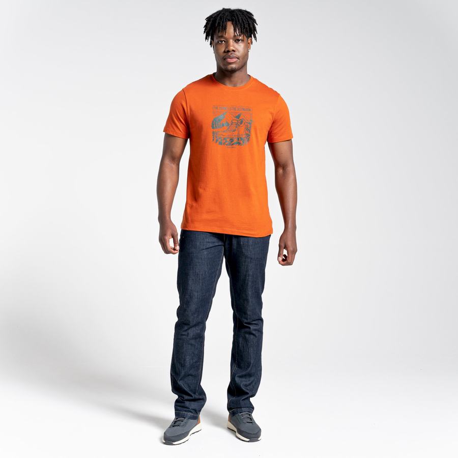 T Shirts Craghoppers Lugo Corta Sleeved Orange Homme | ESE-1967910