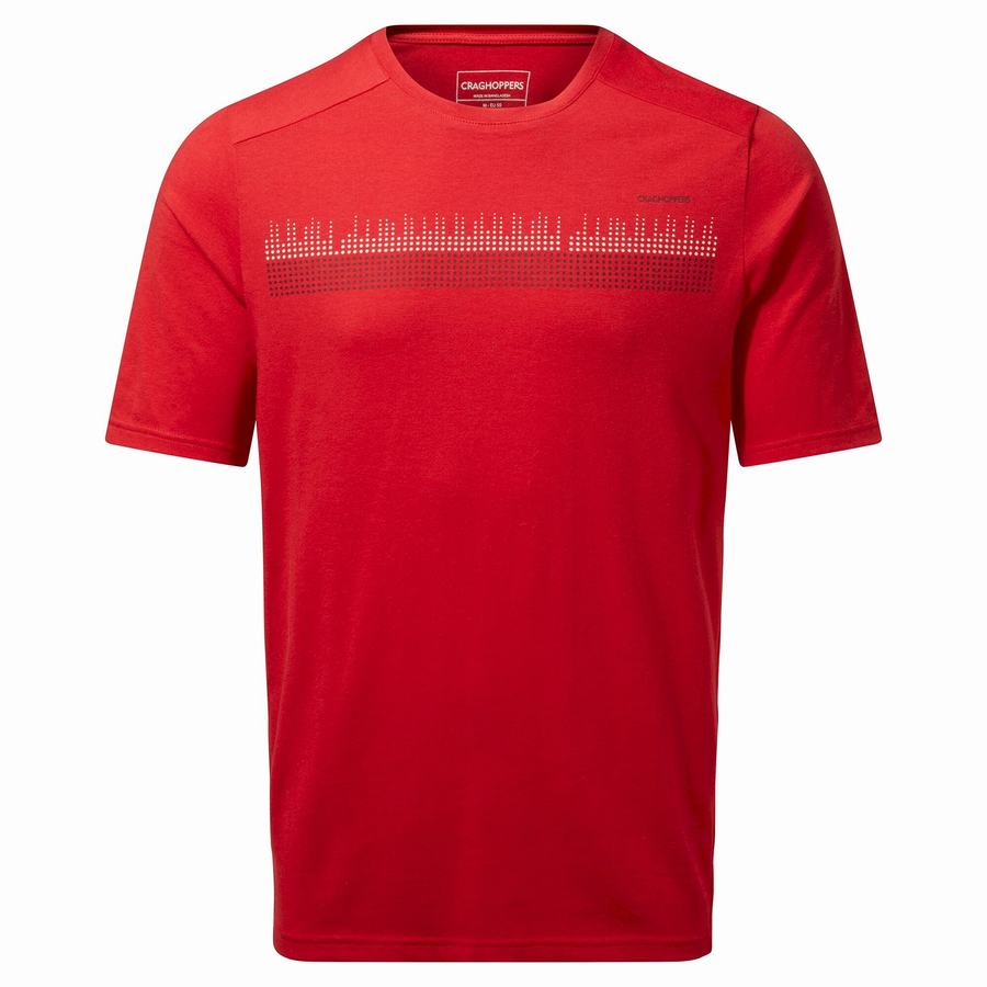 T Shirts Craghoppers Dynamic Corta Sleeved Sriracha Red Rouge Homme | SYZ-4967805