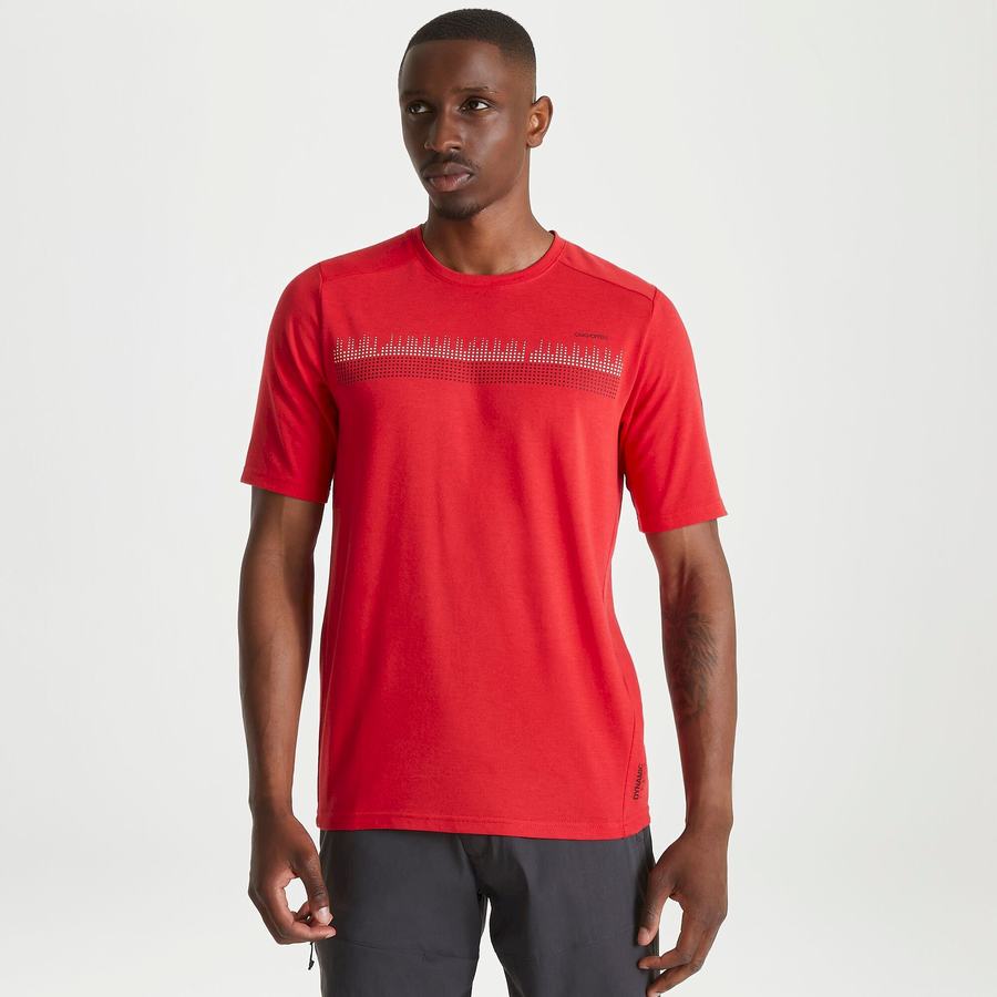 T Shirts Craghoppers Dynamic Corta Sleeved Sriracha Red Rouge Homme | SYZ-4967805