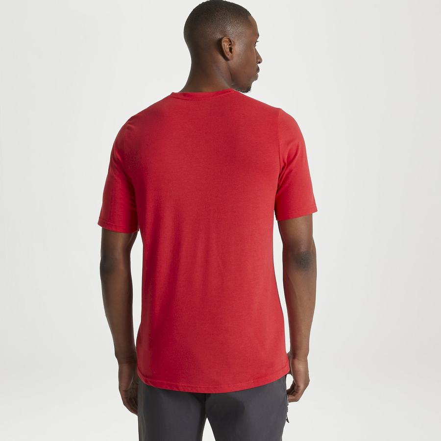 T Shirts Craghoppers Dynamic Corta Sleeved Sriracha Red Rouge Homme | SYZ-4967805