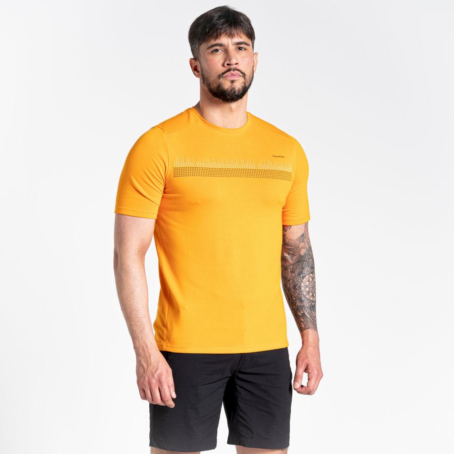 T Shirts Craghoppers Dynamic Corta Sleeved Orange Homme | XNS-7398873