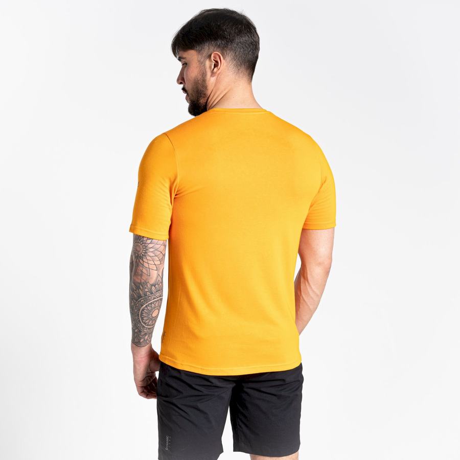 T Shirts Craghoppers Dynamic Corta Sleeved Orange Homme | XNS-7398873