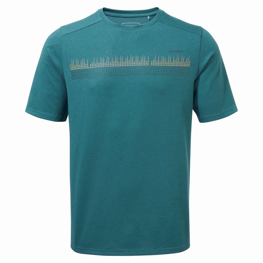 T Shirts Craghoppers Dynamic Corta Sleeved Vert Homme | ZFI-6221174