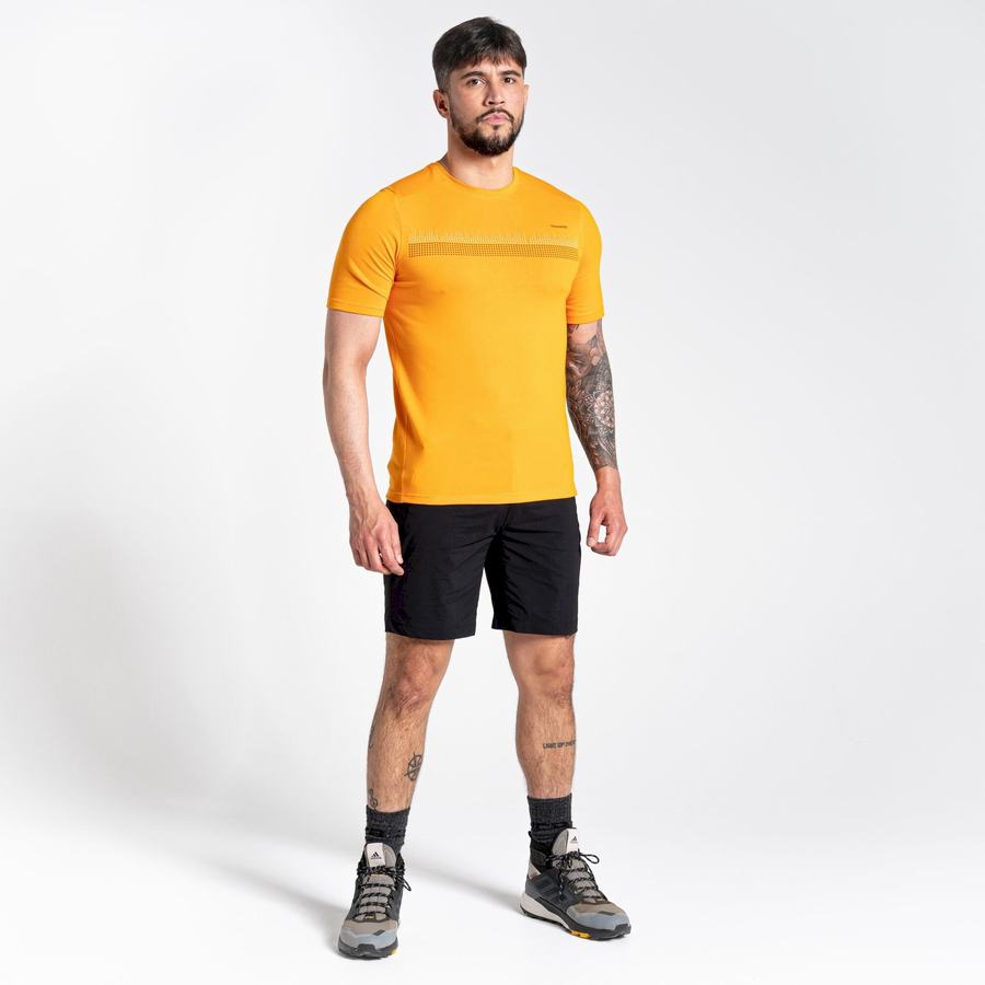 T Shirts Craghoppers Dynamic Corta Sleeved Orange Homme | XNS-7398873