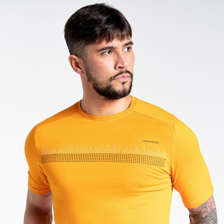 T Shirts Craghoppers Dynamic Corta Sleeved Orange Homme | XNS-7398873