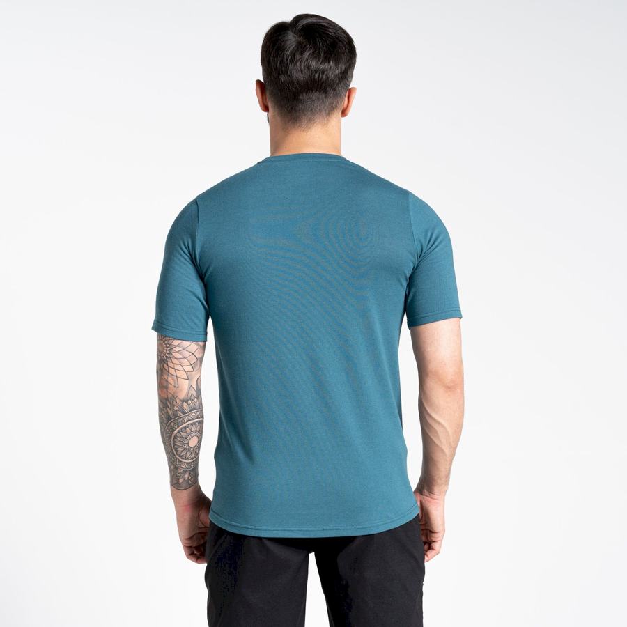 T Shirts Craghoppers Dynamic Corta Sleeved Vert Homme | ZFI-6221174