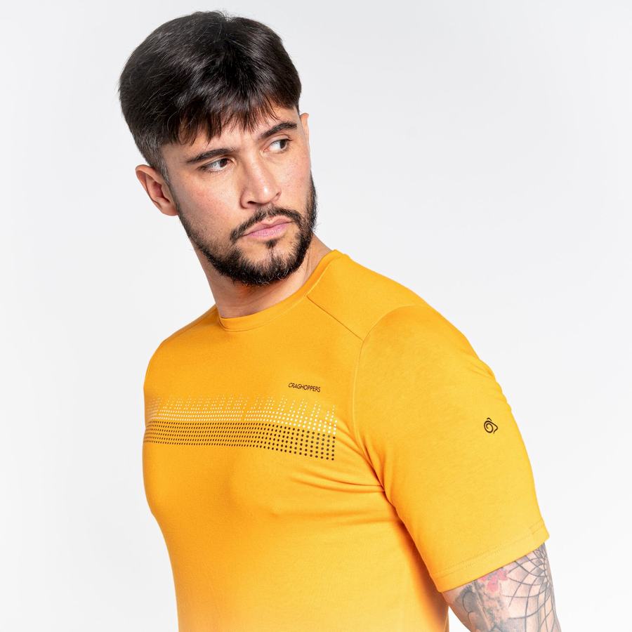 T Shirts Craghoppers Dynamic Corta Sleeved Orange Homme | XNS-7398873