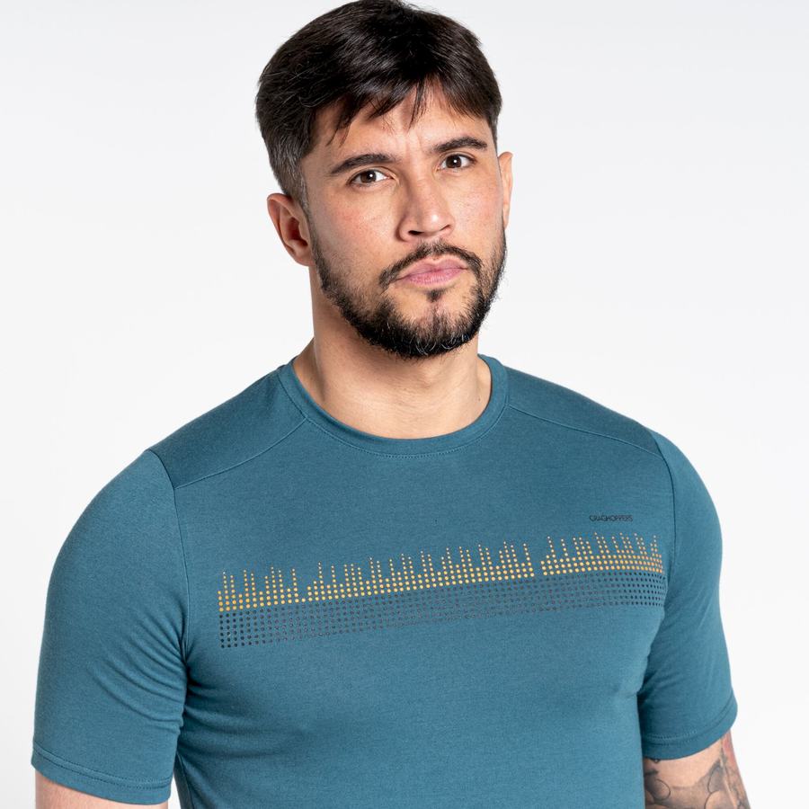 T Shirts Craghoppers Dynamic Corta Sleeved Vert Homme | ZFI-6221174