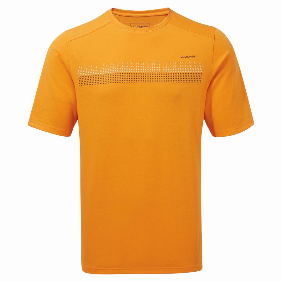 T Shirts Craghoppers Dynamic Corta Sleeved Orange Homme | XNS-7398873