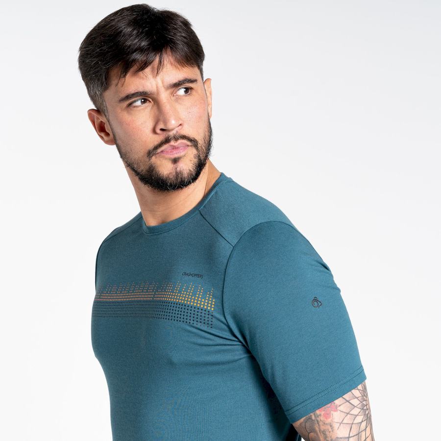 T Shirts Craghoppers Dynamic Corta Sleeved Vert Homme | ZFI-6221174