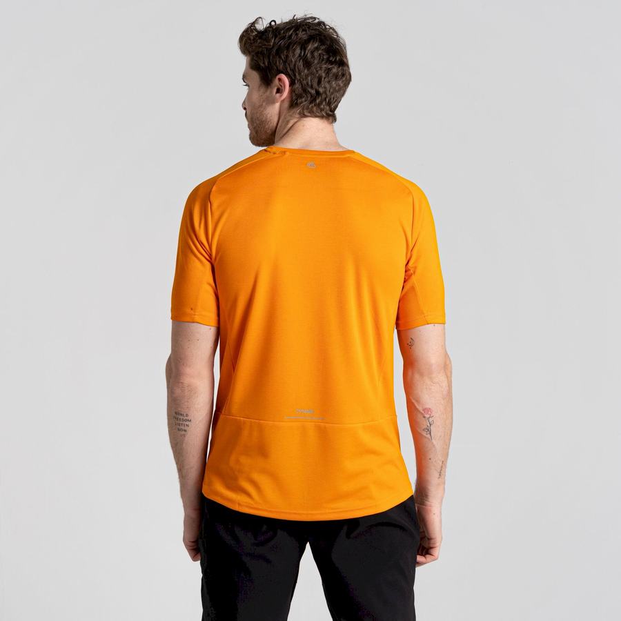 T Shirts Craghoppers Dynamic Pro Corta Sleeved Orange Homme | GRT-2990272