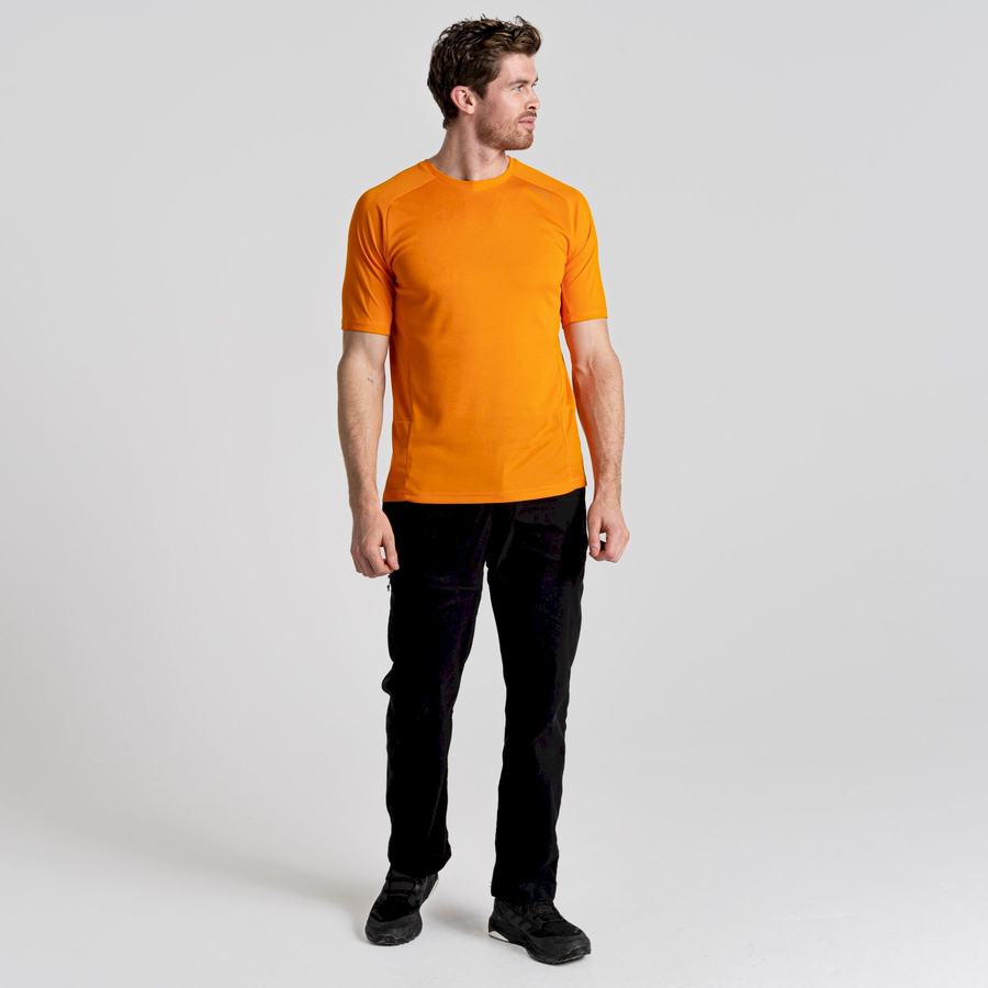 T Shirts Craghoppers Dynamic Pro Corta Sleeved Orange Homme | GRT-2990272