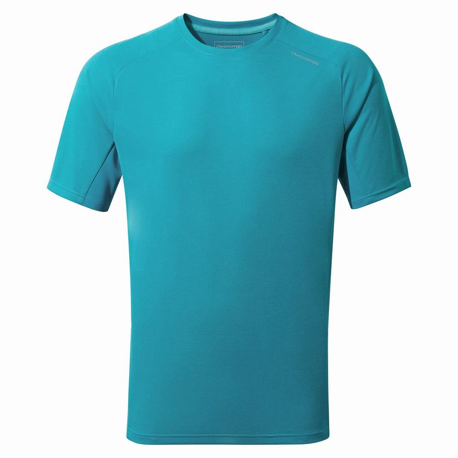 T Shirts Craghoppers Dynamic Pro Corta Sleeved Bleu Homme | JMS-4429252