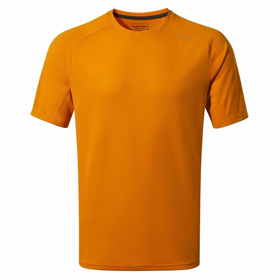 T Shirts Craghoppers Dynamic Pro Corta Sleeved Orange Homme | GRT-2990272