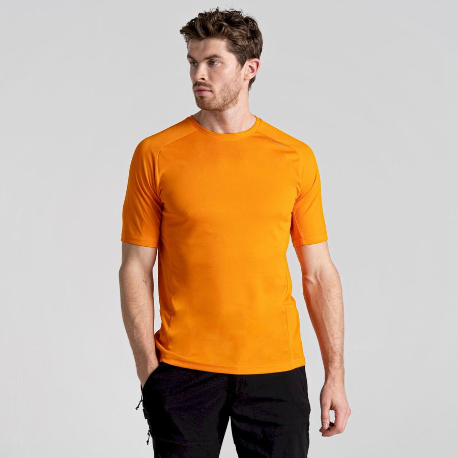 T Shirts Craghoppers Dynamic Pro Corta Sleeved Orange Homme | GRT-2990272