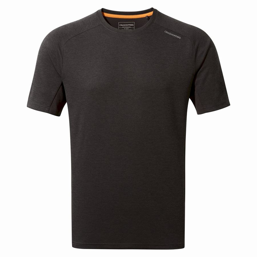 T Shirts Craghoppers Dynamic Pro Corta Sleeved Noir Homme | RYV-3083044