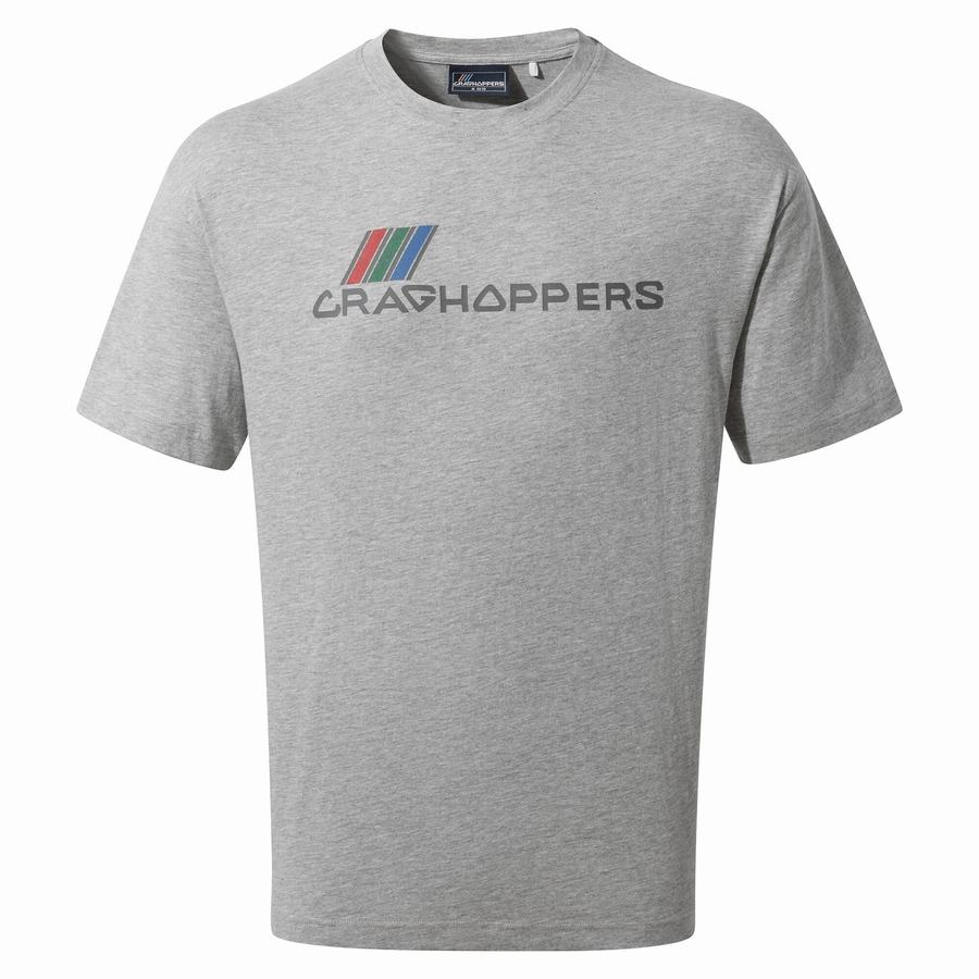 T Shirts Craghoppers Crosby Corta Sleeved Grise Homme | CCK-3217041