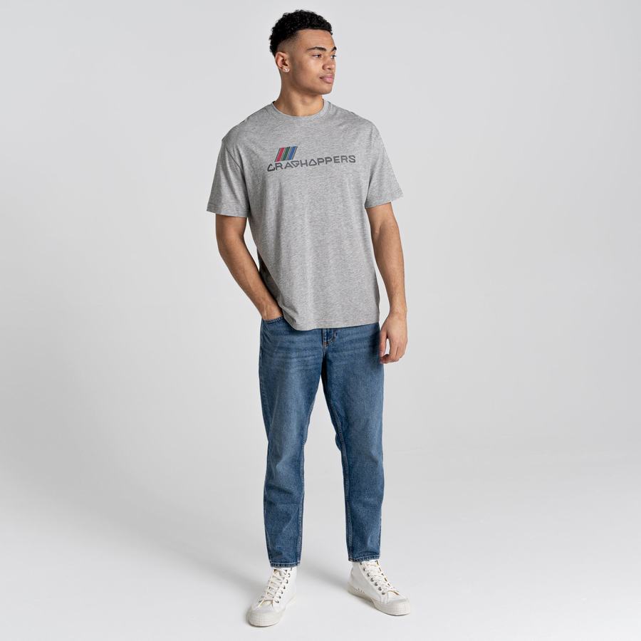 T Shirts Craghoppers Crosby Corta Sleeved Grise Homme | CCK-3217041