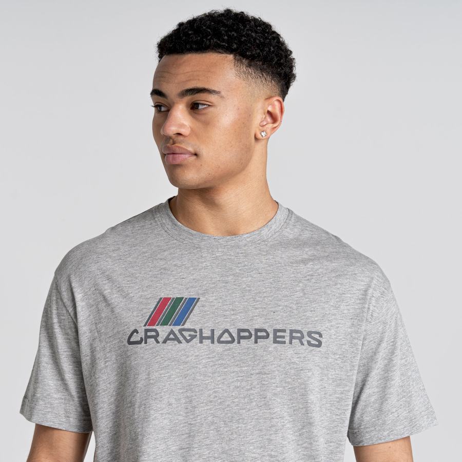 T Shirts Craghoppers Crosby Corta Sleeved Grise Homme | CCK-3217041