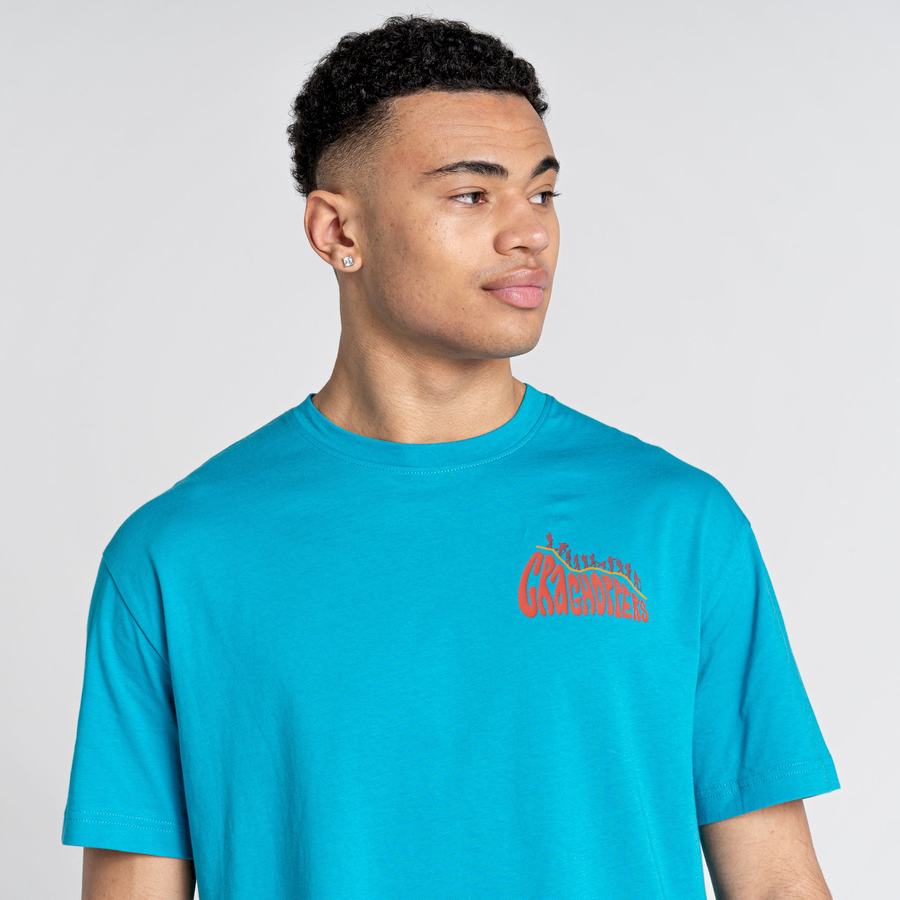 T Shirts Craghoppers Crosby Corta Sleeved Bleu Homme | ISW-7573384