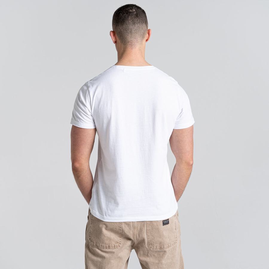 T Shirts Craghoppers Caldo Corta Sleeved Blanche Vert Clair Homme | TDZ-3283332