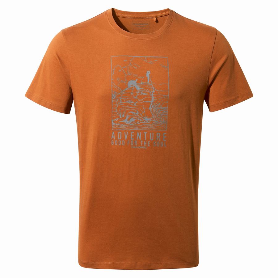 T Shirts Craghoppers Caldo Corta Sleeved Orange Homme | ZZU-5781751