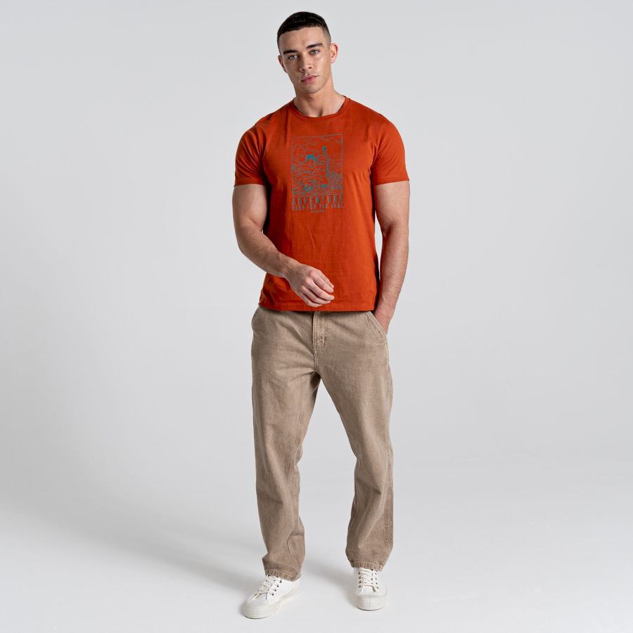 T Shirts Craghoppers Caldo Corta Sleeved Orange Homme | ZZU-5781751