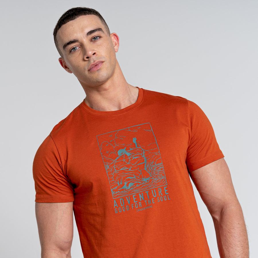 T Shirts Craghoppers Caldo Corta Sleeved Orange Homme | ZZU-5781751