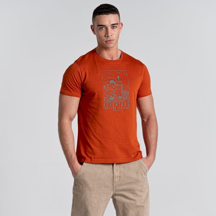 T Shirts Craghoppers Caldo Corta Sleeved Orange Homme | ZZU-5781751