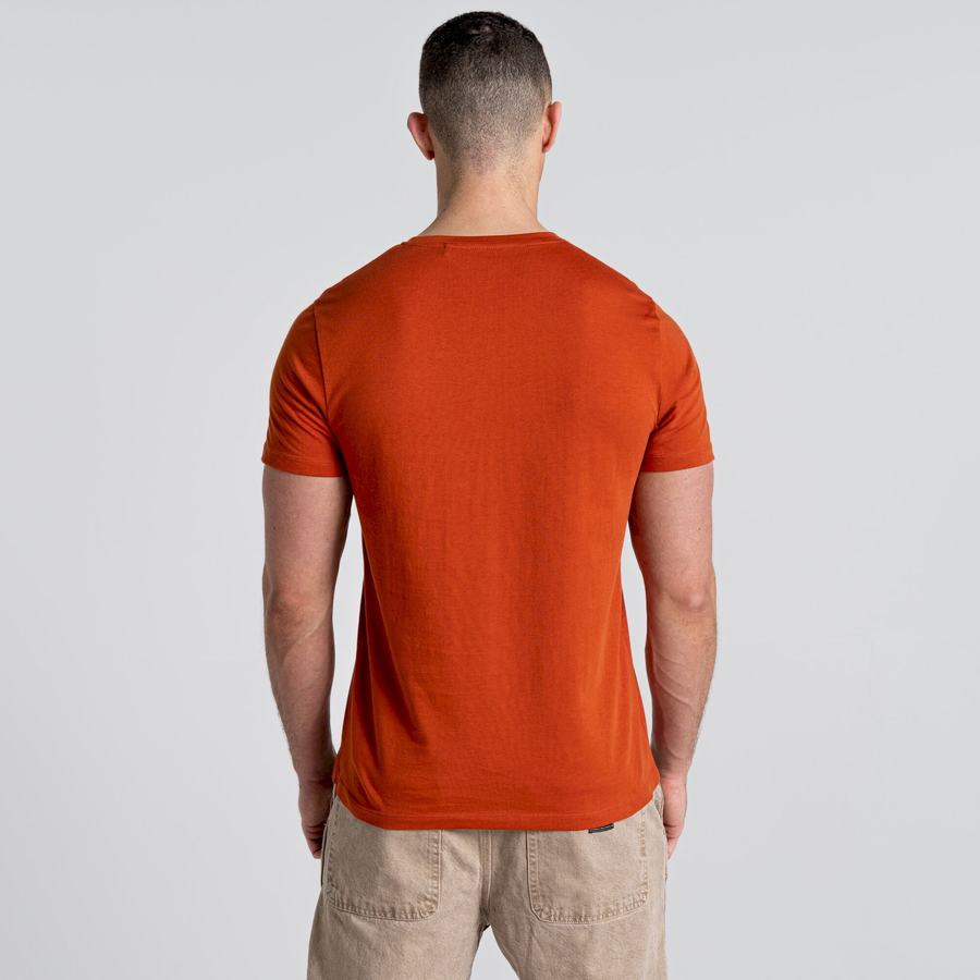 T Shirts Craghoppers Caldo Corta Sleeved Orange Homme | ZZU-5781751