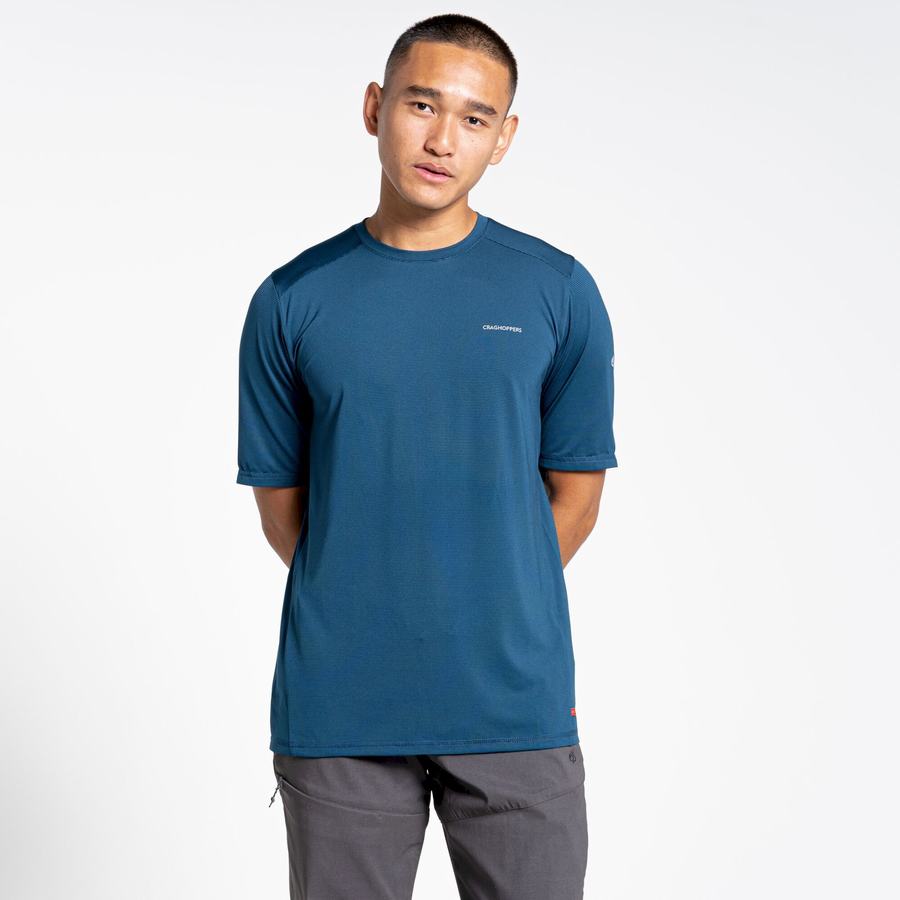 T Shirts Craghoppers Belardo Corta Sleeved Bleu Marine Bleu Homme | XOI-7139708