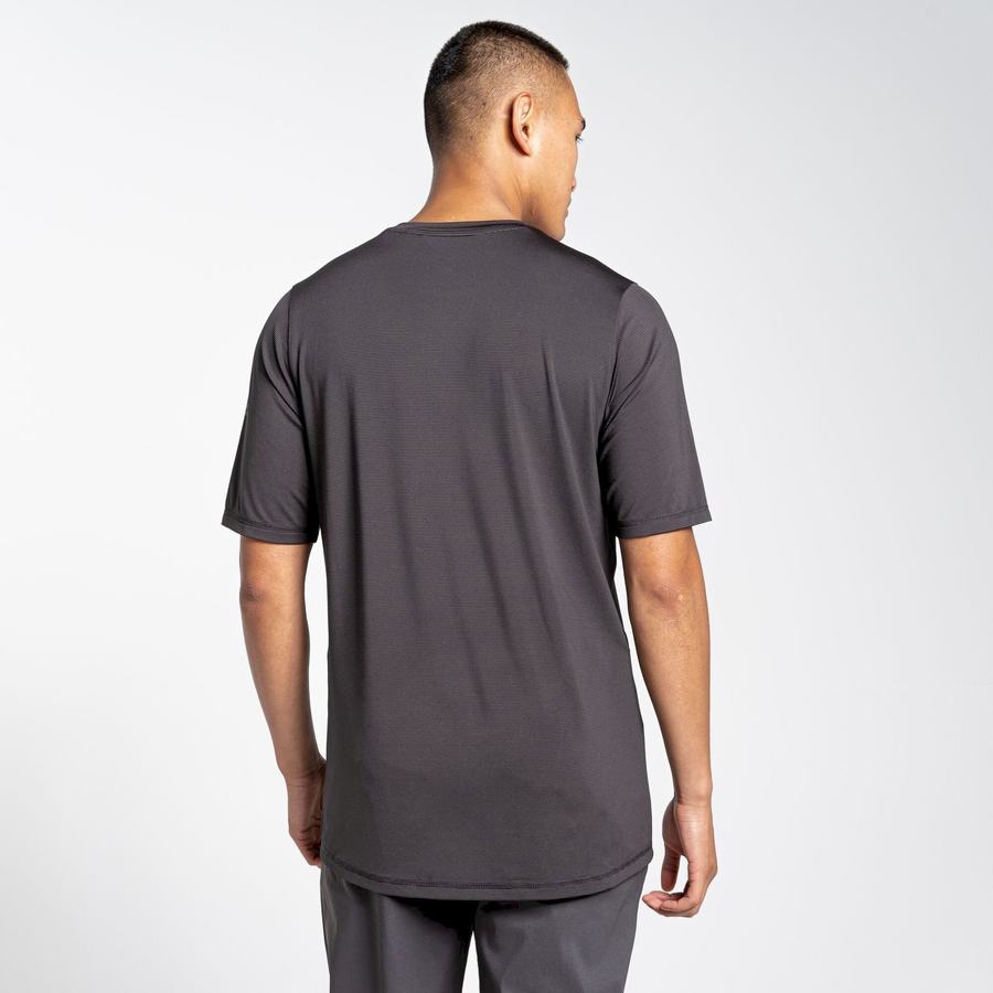 T Shirts Craghoppers Belardo Corta Sleeved Noir Homme | CTO-6122659